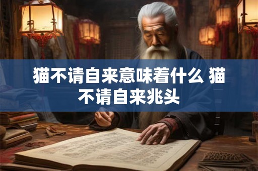 猫不请自来意味着什么 猫不请自来兆头 猫不请自来意味着什么 猫不请自来兆头
