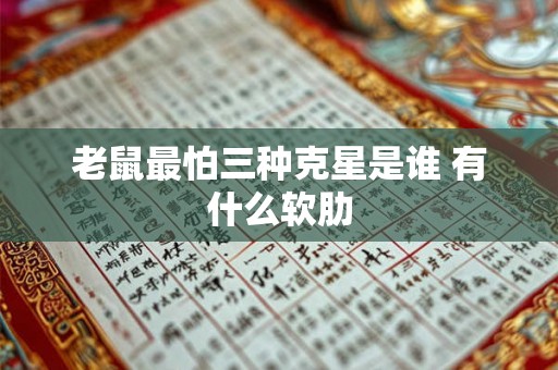 老鼠最怕三种克星是谁 有什么软肋 老鼠最怕三种克星是谁 有什么软肋