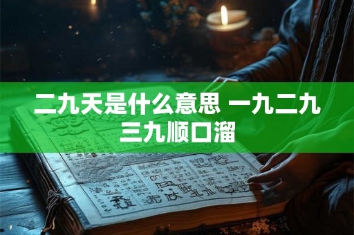 二九天是什么意思 一九二九三九顺口溜