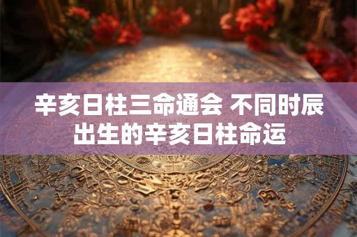 辛亥日柱三命通会 不同时辰出生的辛亥日柱命运