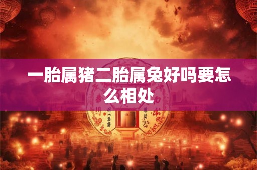 一胎属猪二胎属兔好吗要怎么相处 一胎属猪二胎属兔好吗要怎么相处