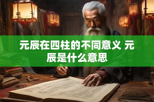 元辰在四柱的不同意义 元辰是什么意思