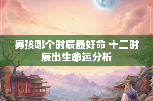 男孩哪个时辰最好命 十二时辰出生命运分析 男孩哪个时辰最好命 十二时辰出生命运分析