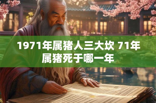 1971年属猪人三大坎 71年属猪死于哪一年