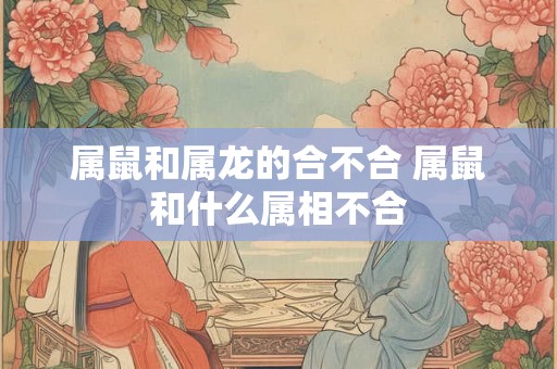 属鼠和属龙的合不合 属鼠和什么属相不合 属鼠和属龙的合不合 属鼠和什么属相不合