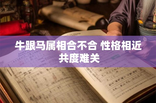 牛跟马属相合不合 性格相近 共度难关