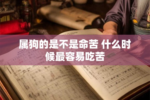 属狗的是不是命苦 什么时候最容易吃苦 属狗的是不是命苦 什么时候最容易吃苦