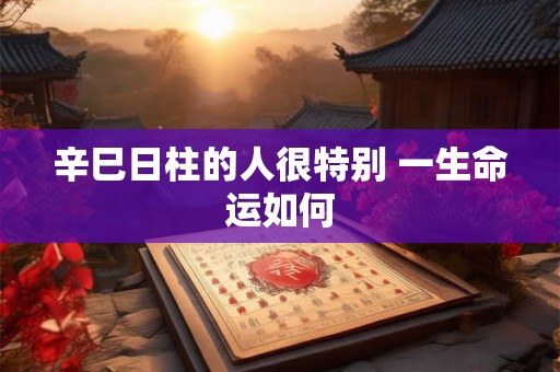 辛巳日柱的人很特别 一生命运如何 辛巳日柱的人很特别 一生命运如何