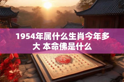 1954年属什么生肖今年多大 本命佛是什么