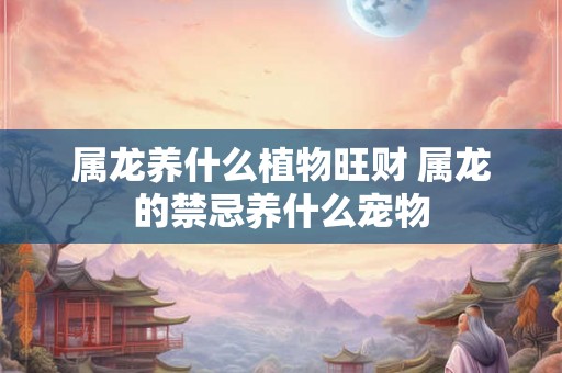 属龙养什么植物旺财 属龙的禁忌养什么宠物 属龙养什么植物旺财 属龙的禁忌养什么宠物