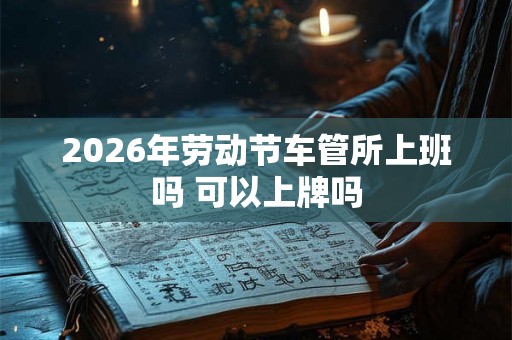 2026年劳动节车管所上班吗 可以上牌吗