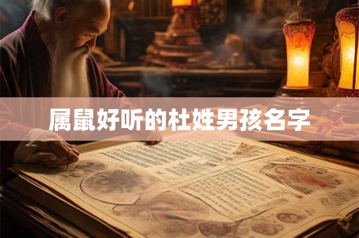属鼠好听的杜姓男孩名字 属鼠好听的杜姓男孩名字