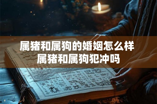属猪和属狗的婚姻怎么样 属猪和属狗犯冲吗 属猪和属狗的婚姻怎么样 属猪和属狗犯冲吗