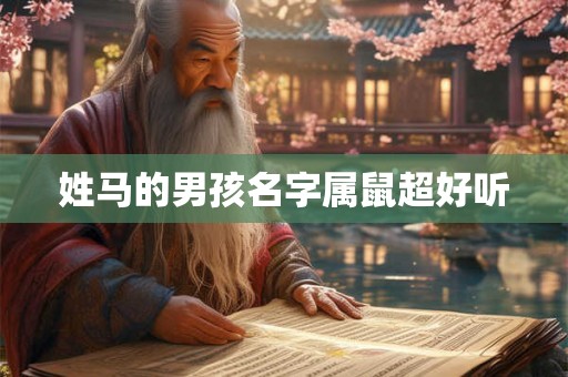 姓马的男孩名字属鼠超好听