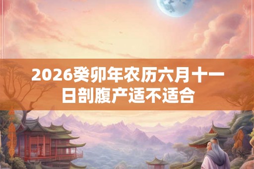 2026癸卯年农历六月十一日剖腹产适不适合