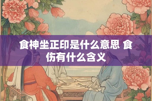 食神坐正印是什么意思 食伤有什么含义
