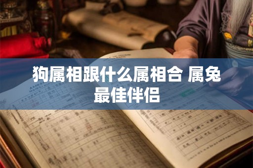 狗属相跟什么属相合 属兔最佳伴侣