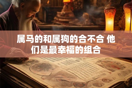 属马的和属狗的合不合 他们是最幸福的组合 属马的和属狗的合不合 他们是最幸福的组合