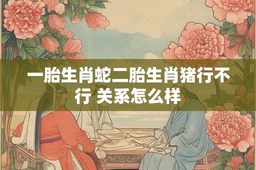 一胎生肖蛇二胎生肖猪行不行 关系怎么样 一胎生肖蛇二胎生肖猪行不行 关系怎么样