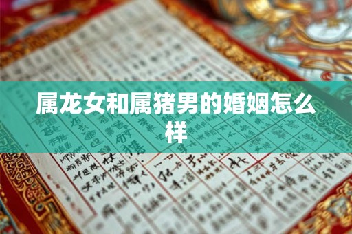 属龙女和属猪男的婚姻怎么样 属龙女和属猪男的婚姻怎么样