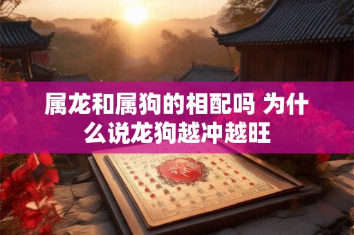 属龙和属狗的相配吗 为什么说龙狗越冲越旺 属龙和属狗的相配吗 为什么说龙狗越冲越旺