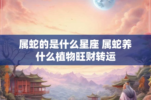属蛇的是什么星座 属蛇养什么植物旺财转运
