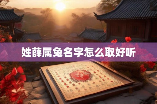 姓薛属兔名字怎么取好听