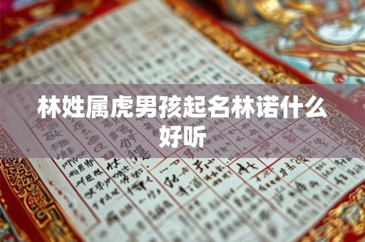 林姓属虎男孩起名林诺什么好听