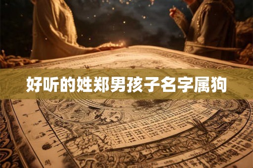 好听的姓郑男孩子名字属狗