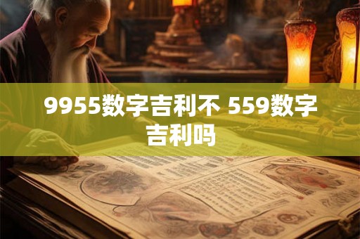 9955数字吉利不 559数字吉利吗