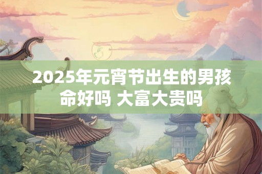 2025年元宵节出生的男孩命好吗 大富大贵吗 2025年元宵节出生的男孩命好吗 大富大贵吗
