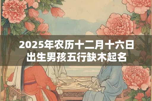 2025年农历十二月十六日出生男孩五行缺木起名 2025年农历十二月十六日出生男孩五行缺木起名