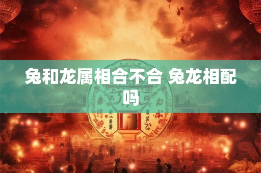兔和龙属相合不合 兔龙相配吗 兔和龙属相合不合 兔龙相配吗