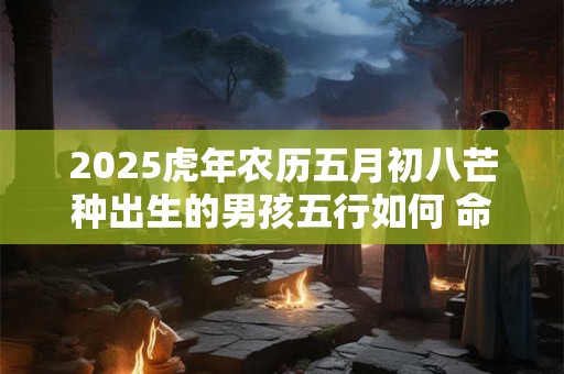 2025虎年农历五月初八芒种出生的男孩五行如何 命好不好 2025虎年农历五月初八芒种出生的男孩五行如何 命好不好