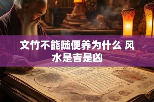 文竹不能随便养为什么 风水是吉是凶 文竹不能随便养为什么 风水是吉是凶