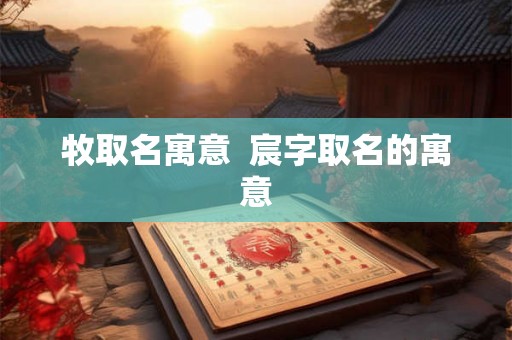 牧取名寓意 宸字取名的寓意 牧取名寓意 宸字取名的寓意