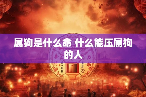 属狗是什么命 什么能压属狗的人 属狗是什么命 什么能压属狗的人
