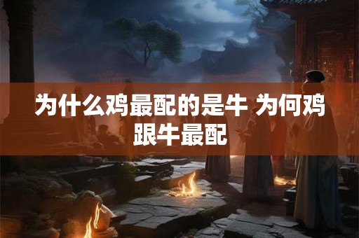 为什么鸡最配的是牛 为何鸡跟牛最配 为什么鸡最配的是牛 为何鸡跟牛最配