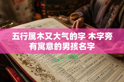 五行属木又大气的字 木字旁有寓意的男孩名字 五行属木又大气的字 木字旁有寓意的男孩名字