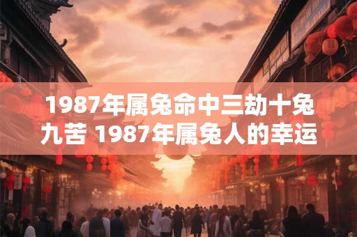 1987年属兔命中三劫十兔九苦 1987年属兔人的幸运数字 1987年属兔命中三劫十兔九苦 1987年属兔人的幸运数字