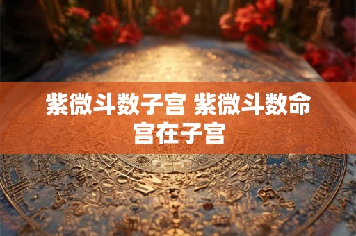 紫微斗数子宫 紫微斗数命宫在子宫 紫微斗数子宫 紫微斗数命宫在子宫