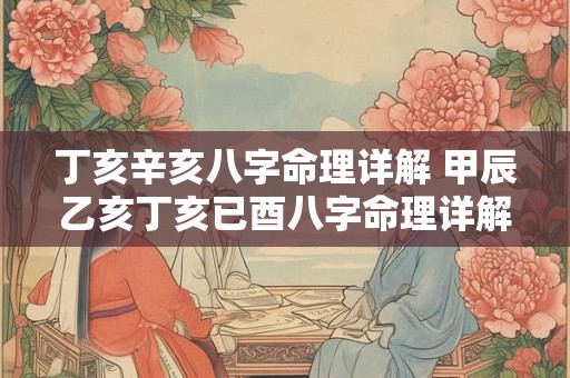 丁亥辛亥八字命理详解 甲辰乙亥丁亥已酉八字命理详解 丁亥辛亥八字命理详解 甲辰乙亥丁亥已酉八字命理详解