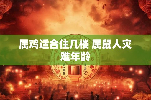 属鸡适合住几楼 属鼠人灾难年龄 属鸡适合住几楼 属鼠人灾难年龄