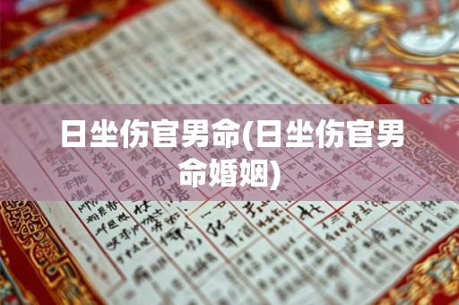 日坐伤官男命(日坐伤官男命婚姻)