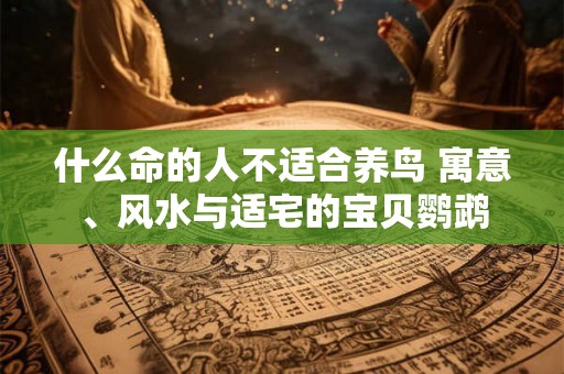 什么命的人不适合养鸟 寓意、风水与适宅的宝贝鹦鹉