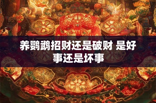 养鹦鹉招财还是破财 是好事还是坏事