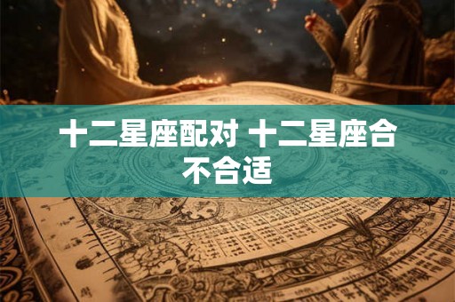 十二星座配对 十二星座合不合适 十二星座配对 十二星座合不合适