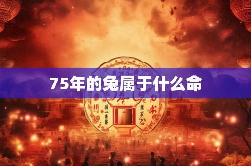 75年的兔属于什么命 75年的兔属于什么命