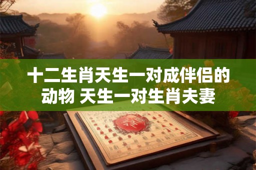 十二生肖天生一对成伴侣的动物 天生一对生肖夫妻 十二生肖天生一对成伴侣的动物 天生一对生肖夫妻