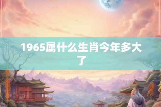 1965属什么生肖今年多大了